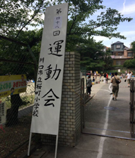 swZ^3